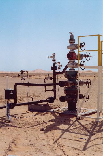 Gas Lift